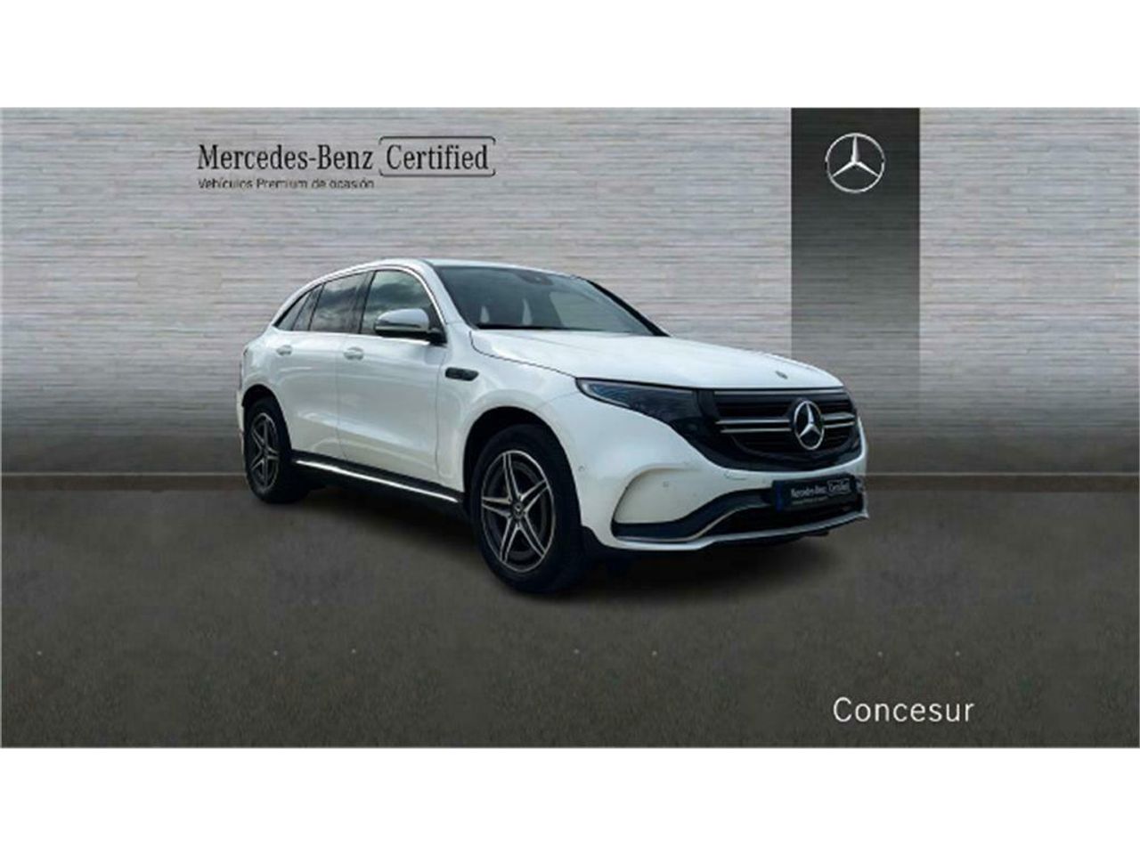 mercedes eqc 2020 / foto grande (3)
