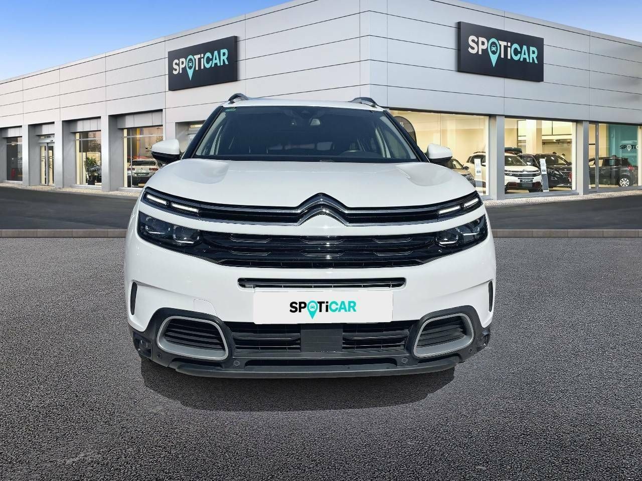 citroën c5 aircross 2019 / foto grande (2)