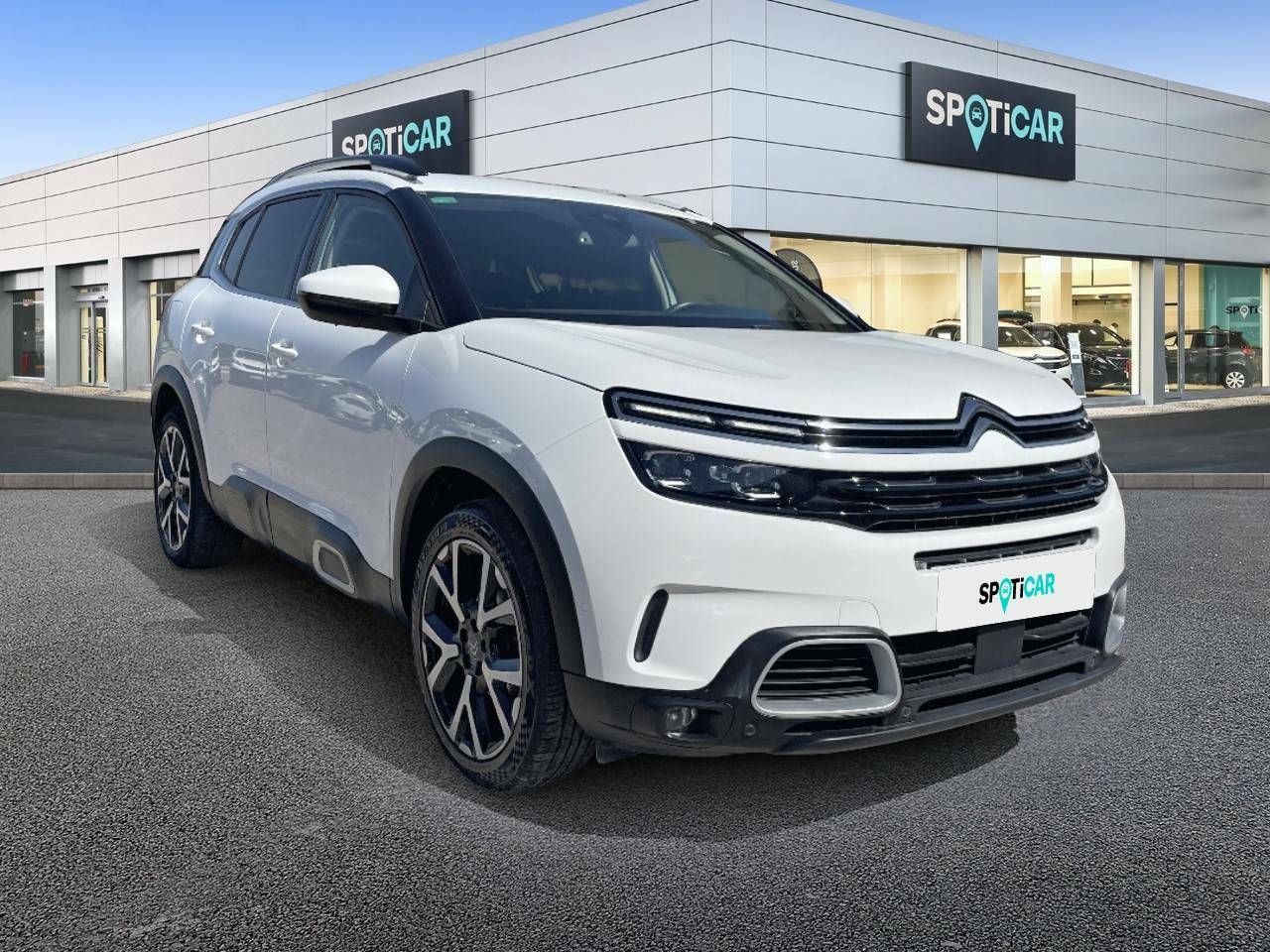 citroën c5 aircross 2019 / foto grande (3)