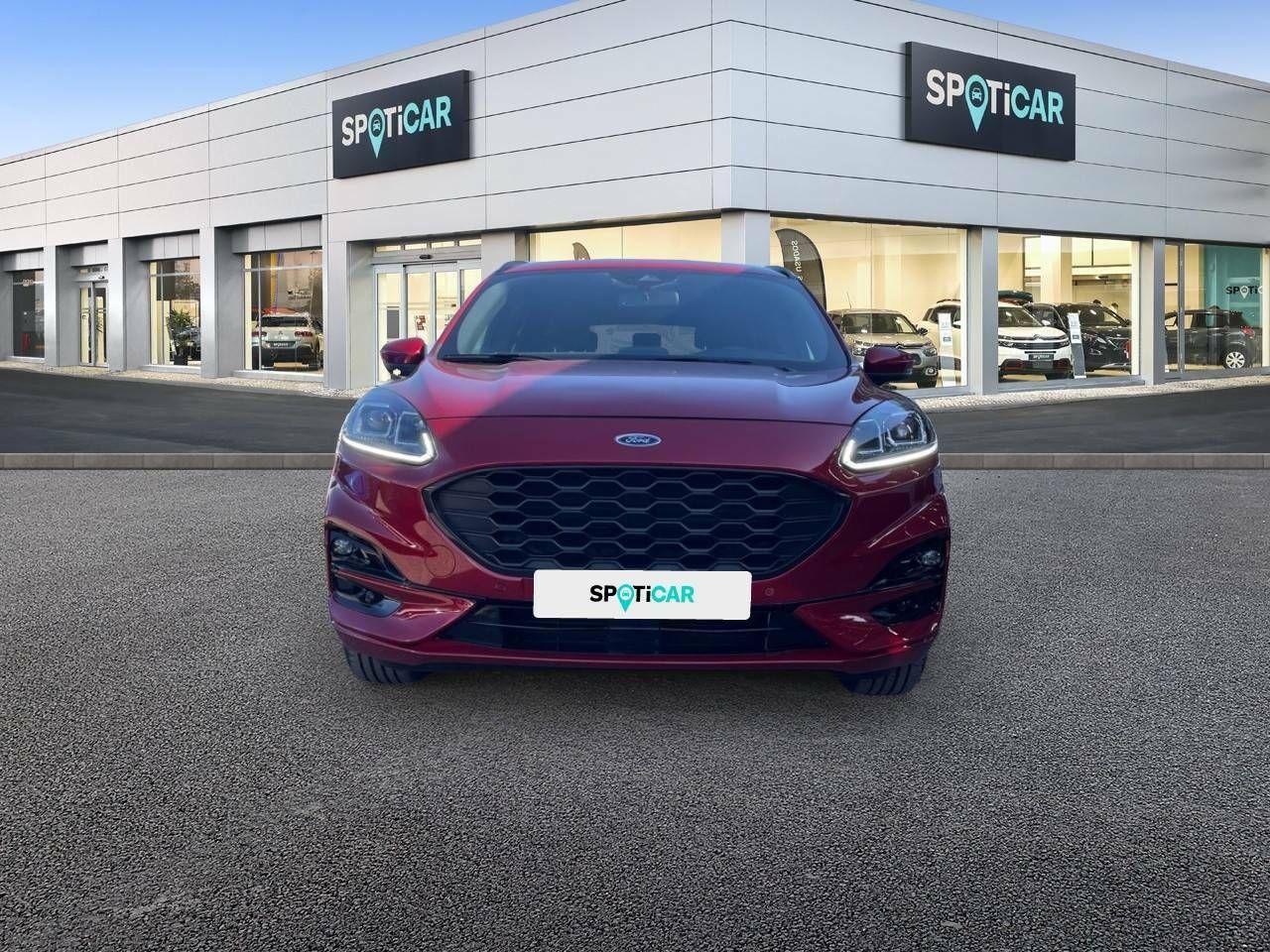 ford kuga 2022 / foto grande (2)