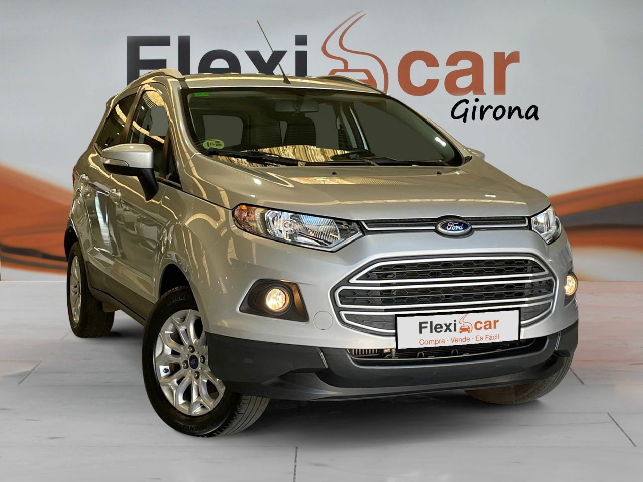 ford ecosport 2015 /