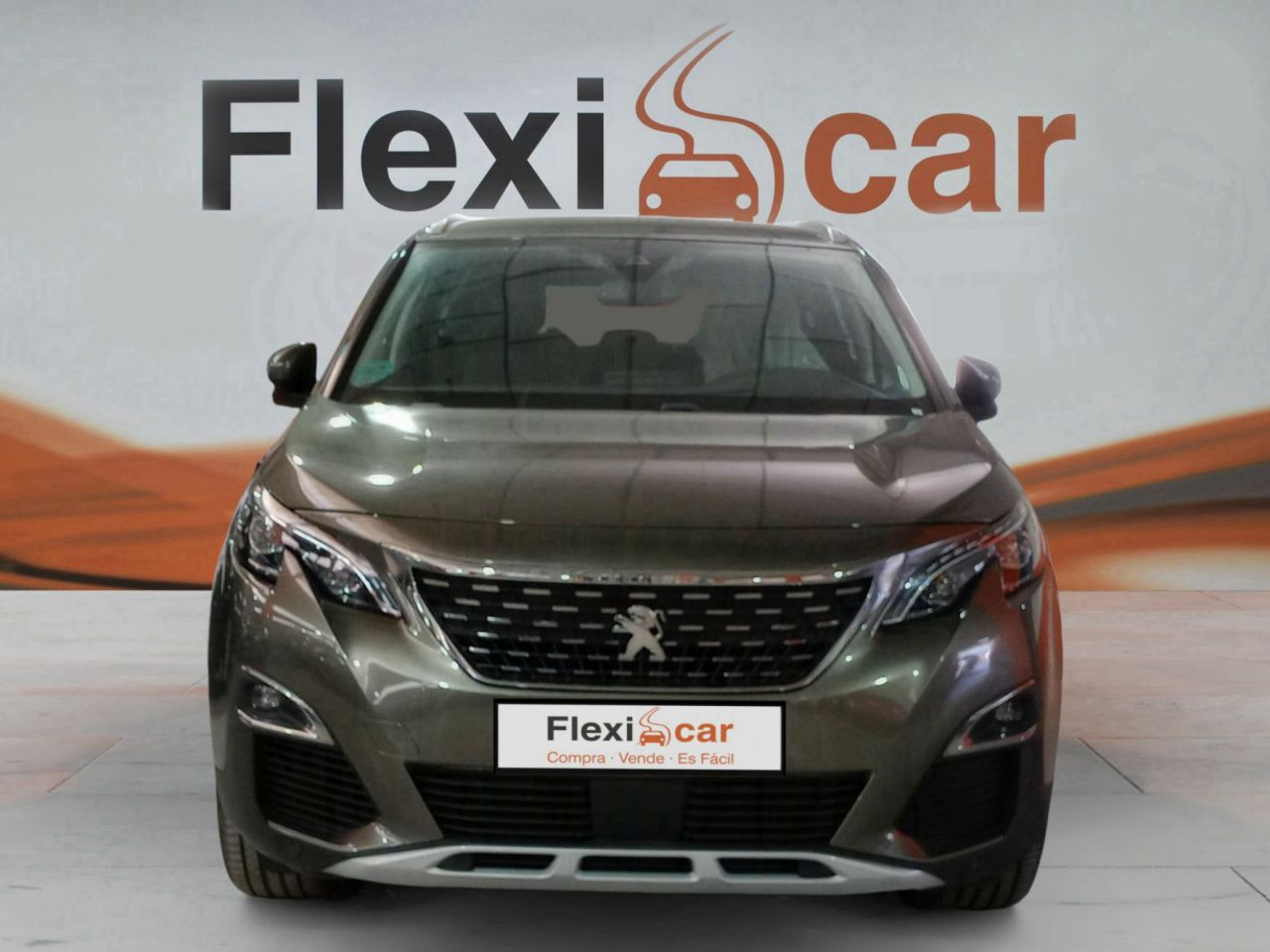 peugeot 5008 2019 / foto grande (2)