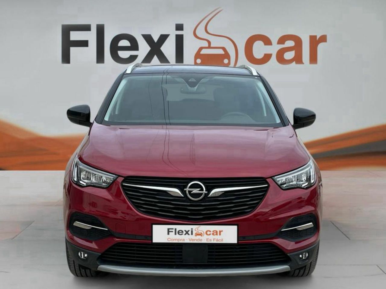 opel grandland x 2021 / foto grande (2)