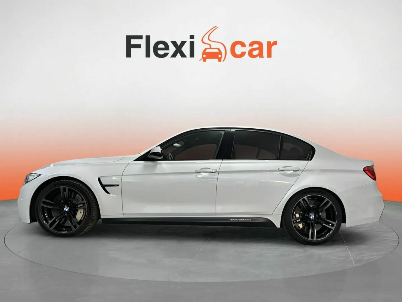 bmw serie 3 2014 / foto grande (3)