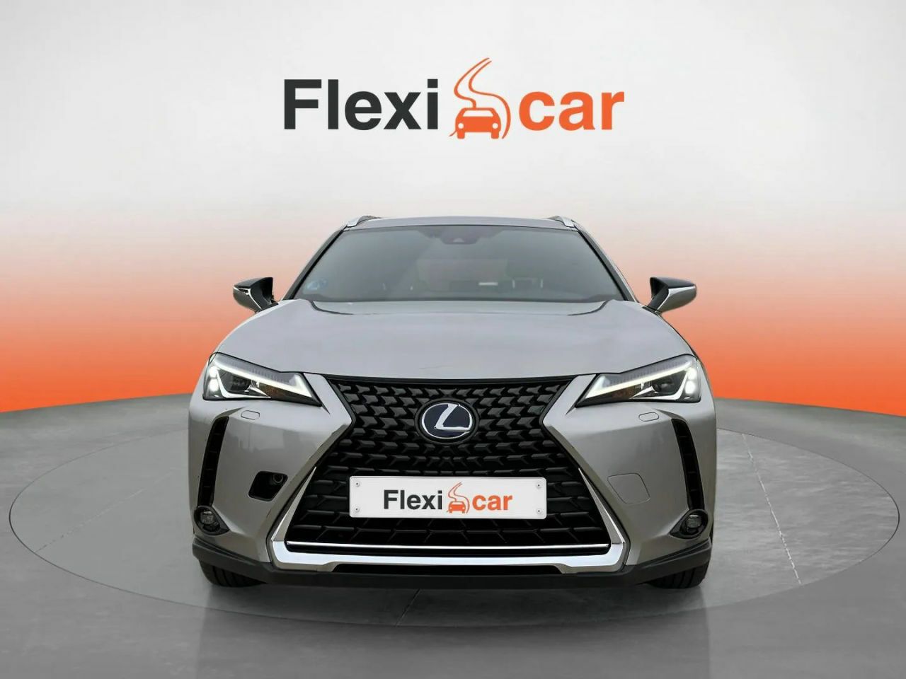 lexus ux 2019 / foto grande (2)