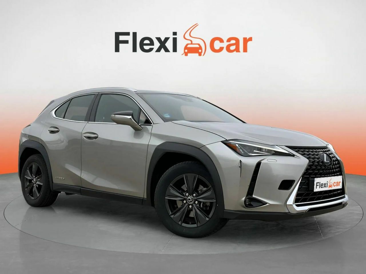Golf 18 1990  de segunda mano - lexus ux 2019 /