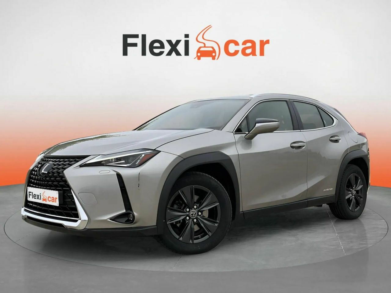 lexus ux 2019 / foto grande (3)