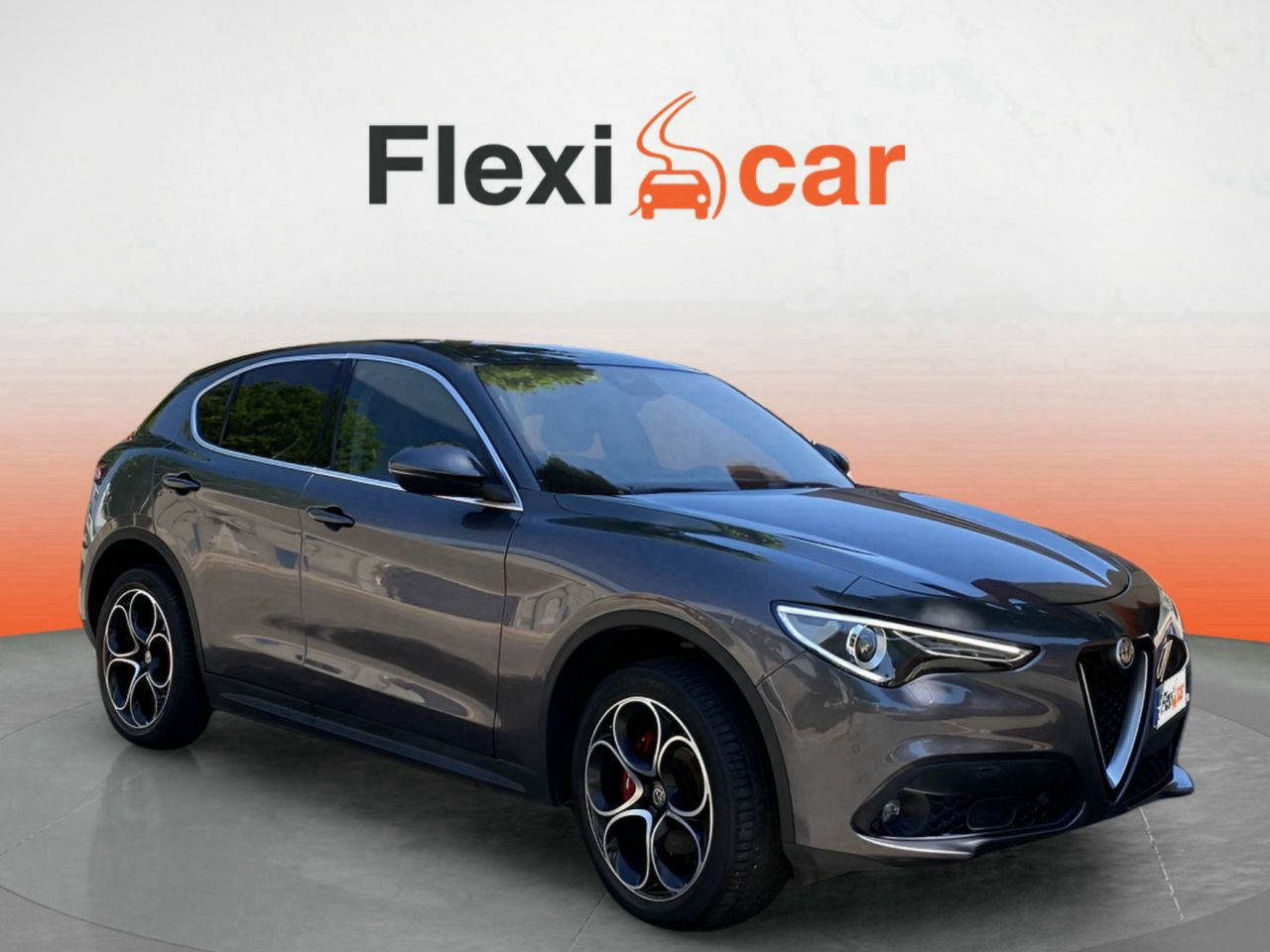 Alfa romeo stelvio 2019  de segunda mano - alfa romeo stelvio 2019 /