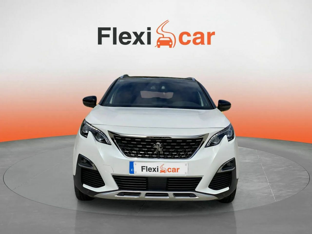 peugeot 3008 2016 / foto grande (2)