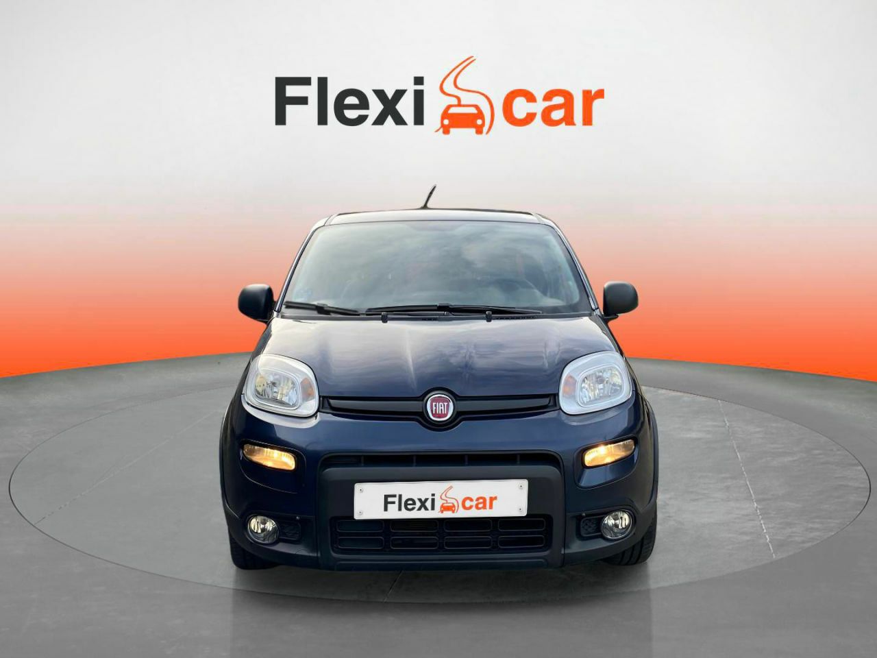 fiat panda 2021 / foto grande (3)