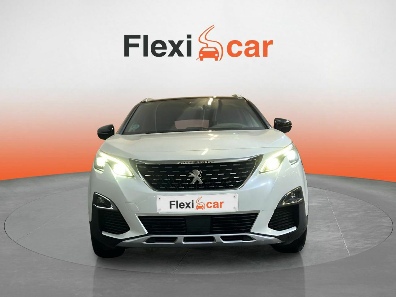peugeot 3008 2017 / foto grande (2)