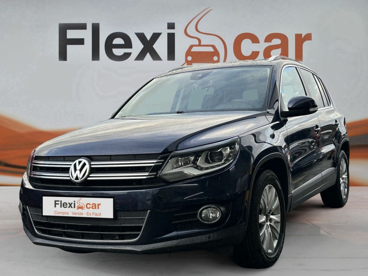 volkswagen tiguan 2012 / foto grande (3)