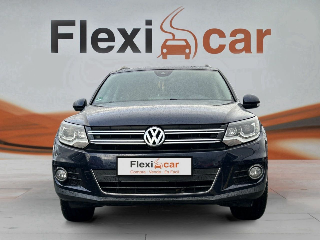 volkswagen tiguan 2012 / foto grande (2)