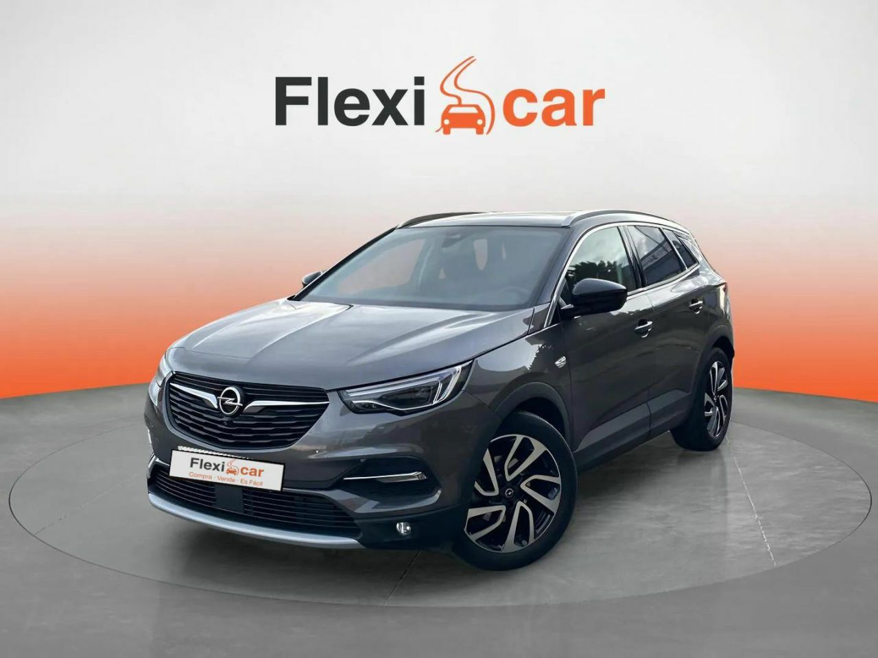 opel grandland x 2019 / foto grande (3)