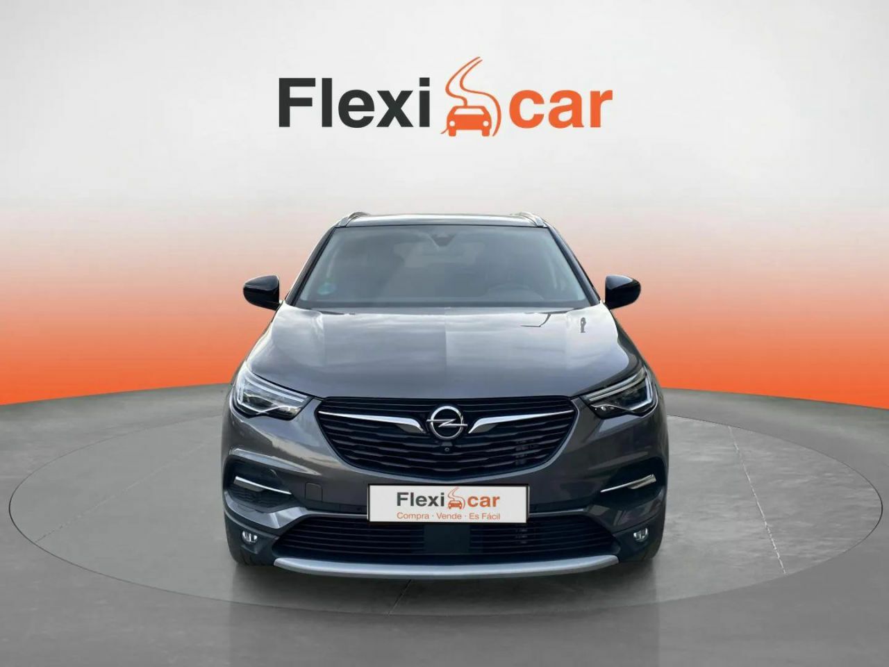 opel grandland x 2019 / foto grande (2)