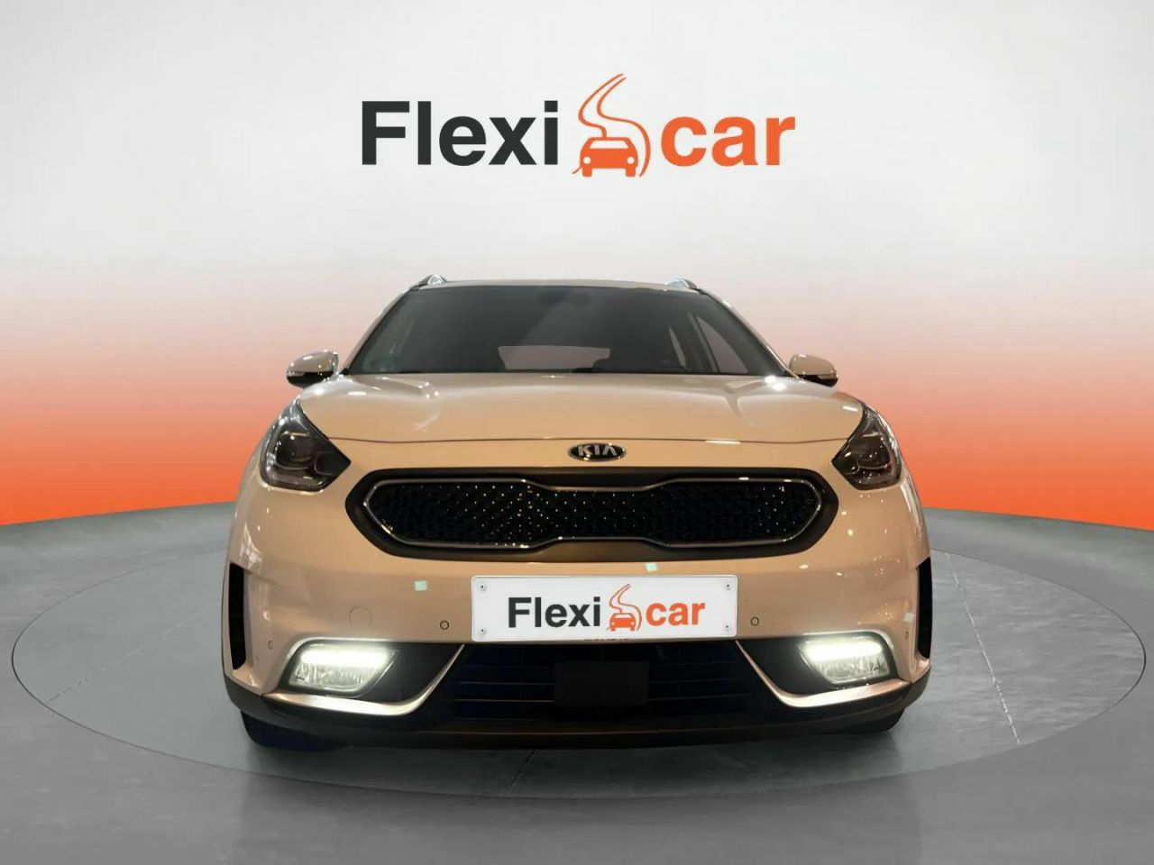kia niro 2019 / foto grande (2)