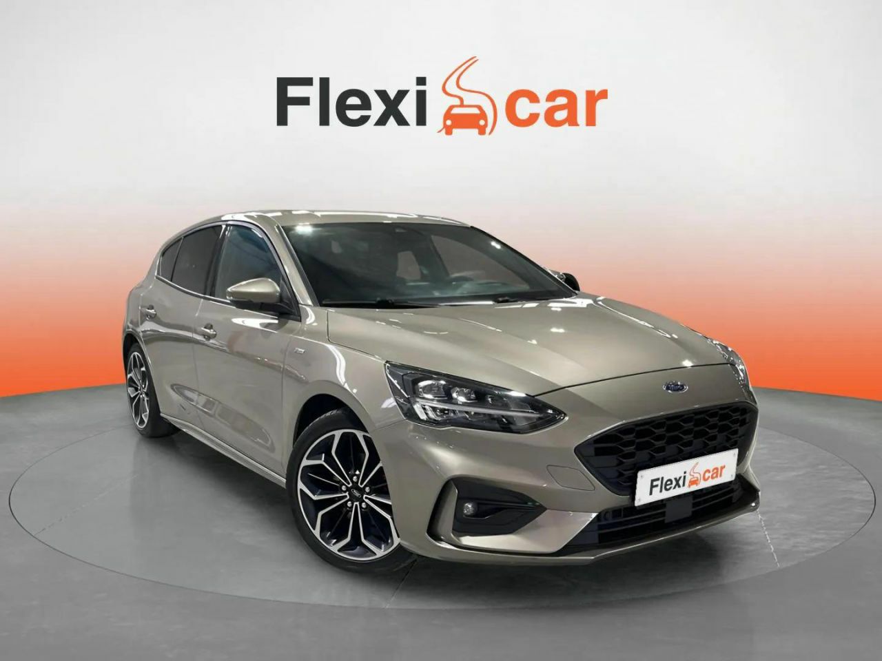 ford focus 2019 /