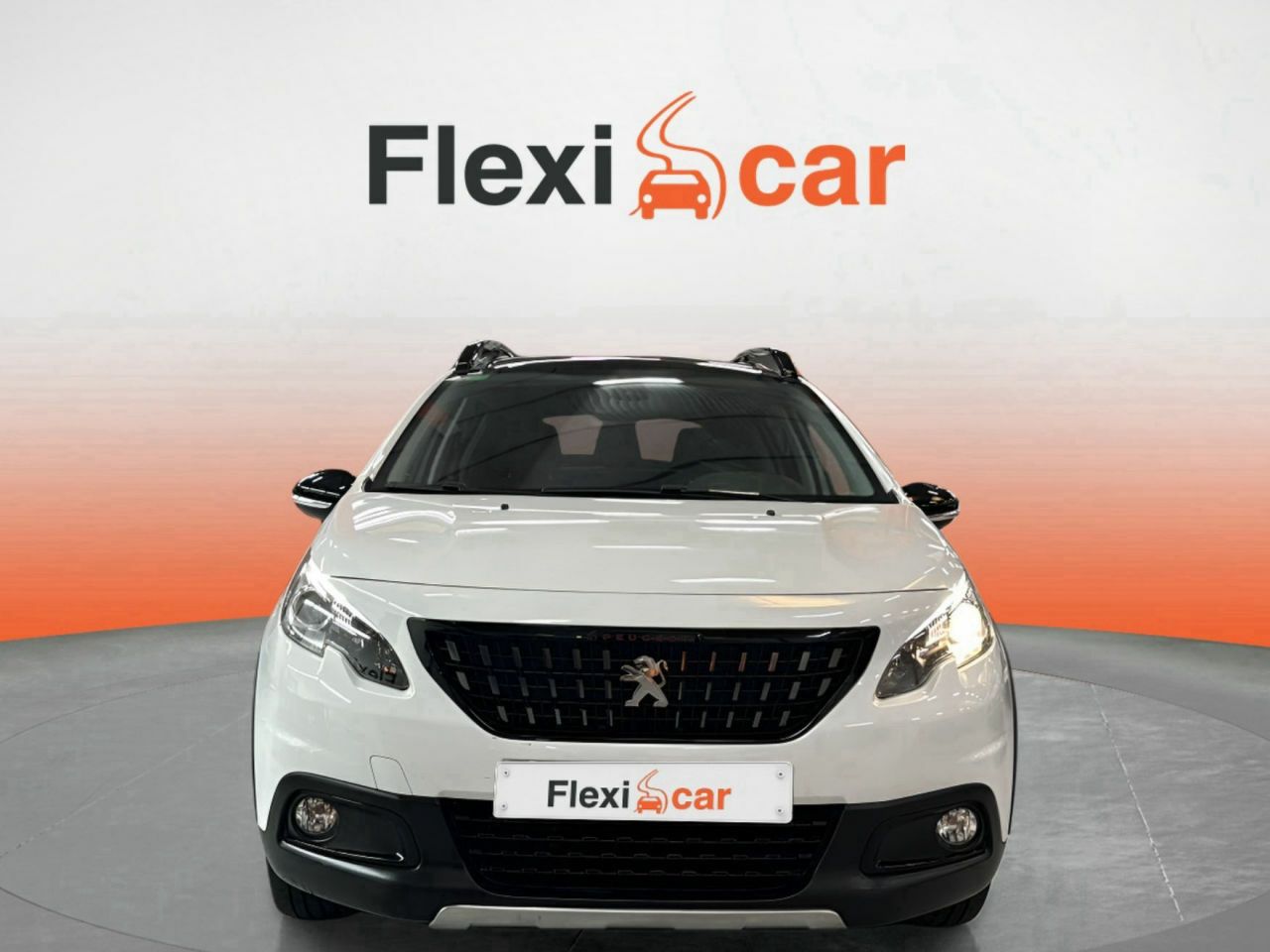 peugeot 2008 2019 / foto grande (2)