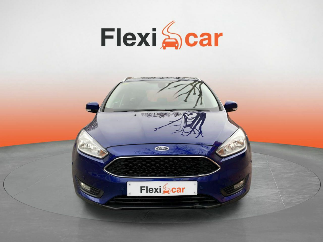 ford focus 2017 / foto grande (2)