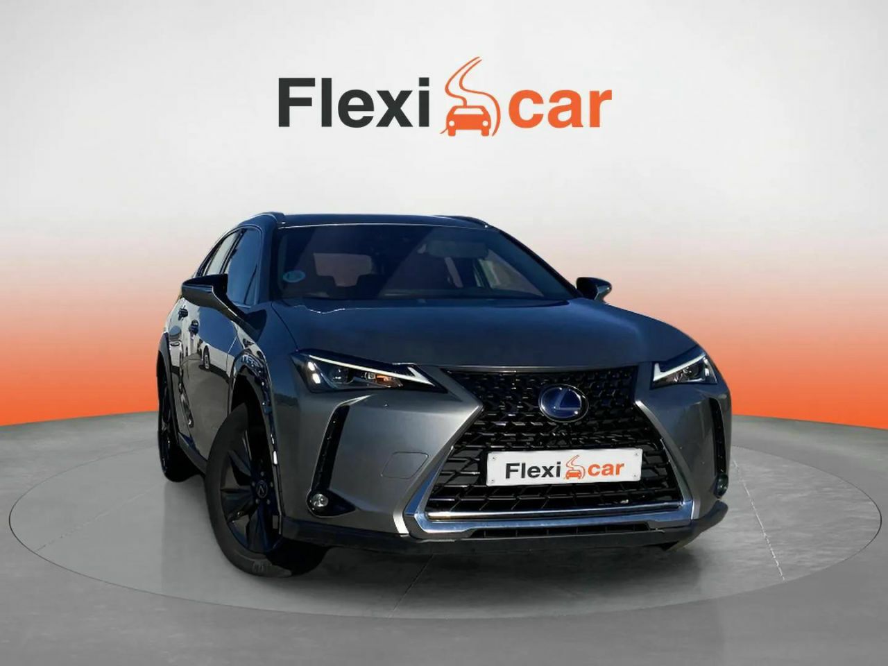 Vidente navarra  en Navarra - lexus ux 2021 /
