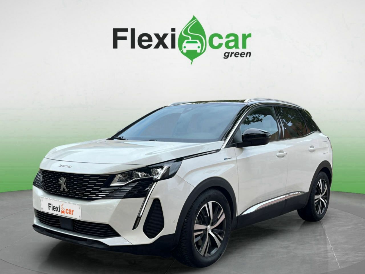 peugeot 3008 2021 / foto grande (3)