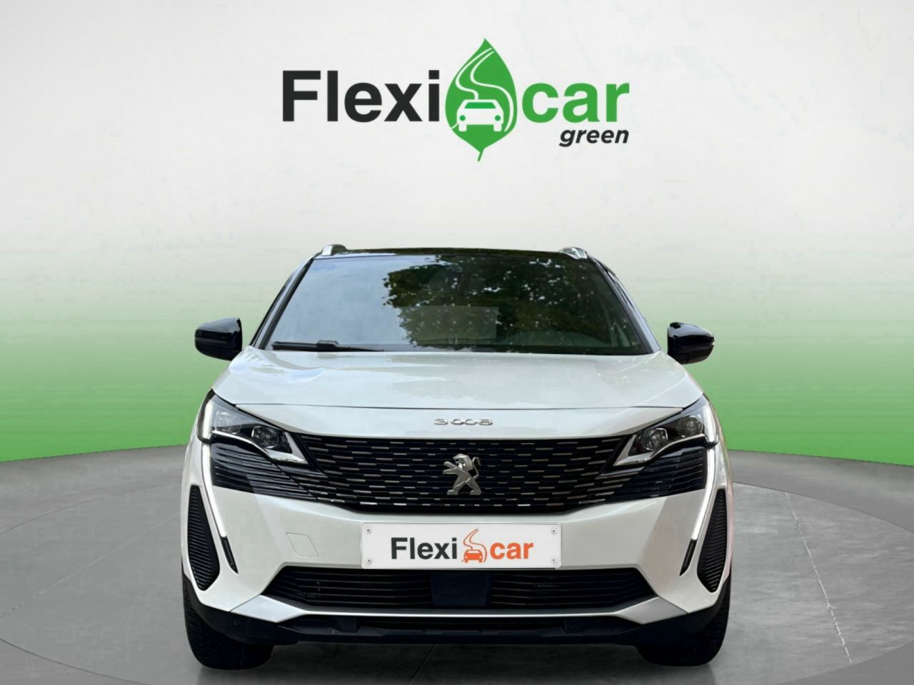 peugeot 3008 2021 / foto grande (2)