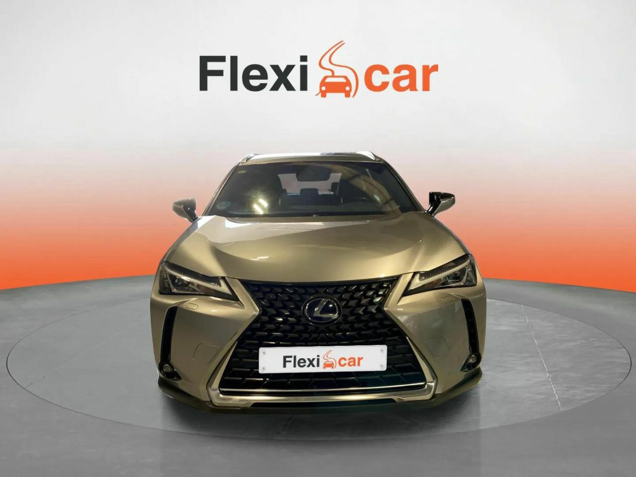 lexus ux 2020 / foto grande (3)