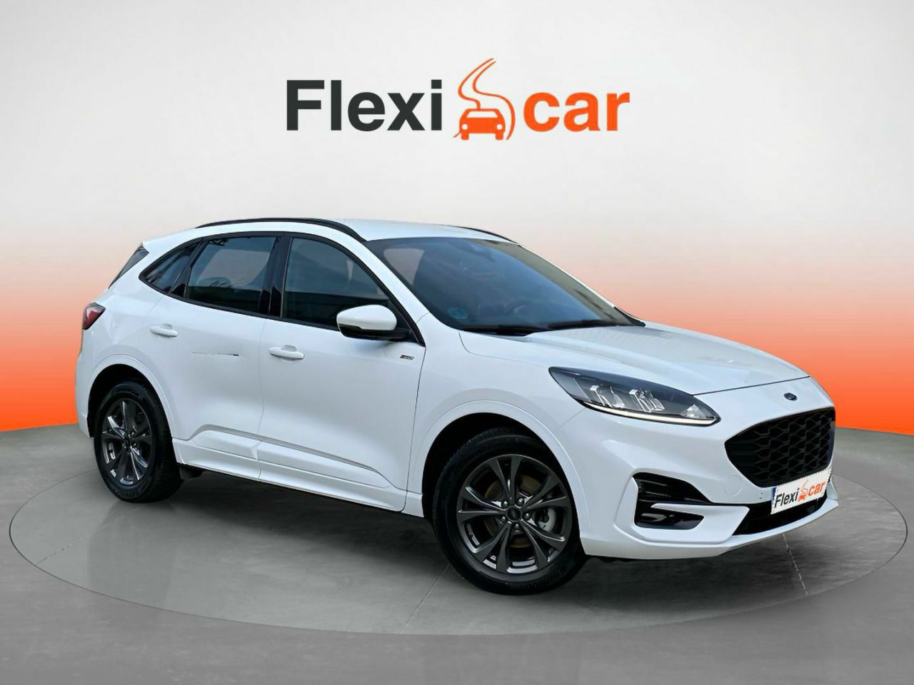 Tarotista en pontevedra  en Pontevedra - ford kuga 2023 /