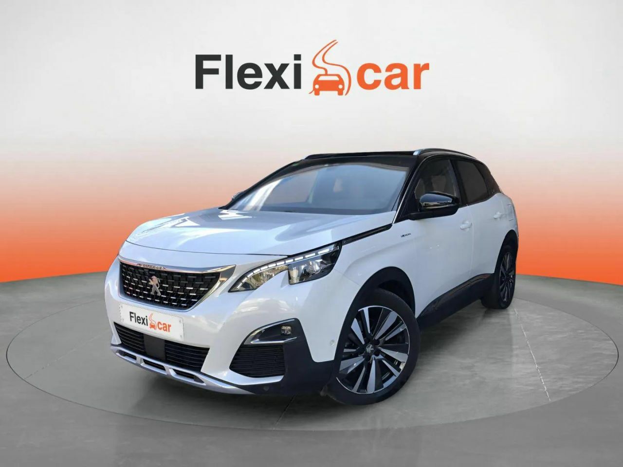 peugeot 3008 2019 / foto grande (3)