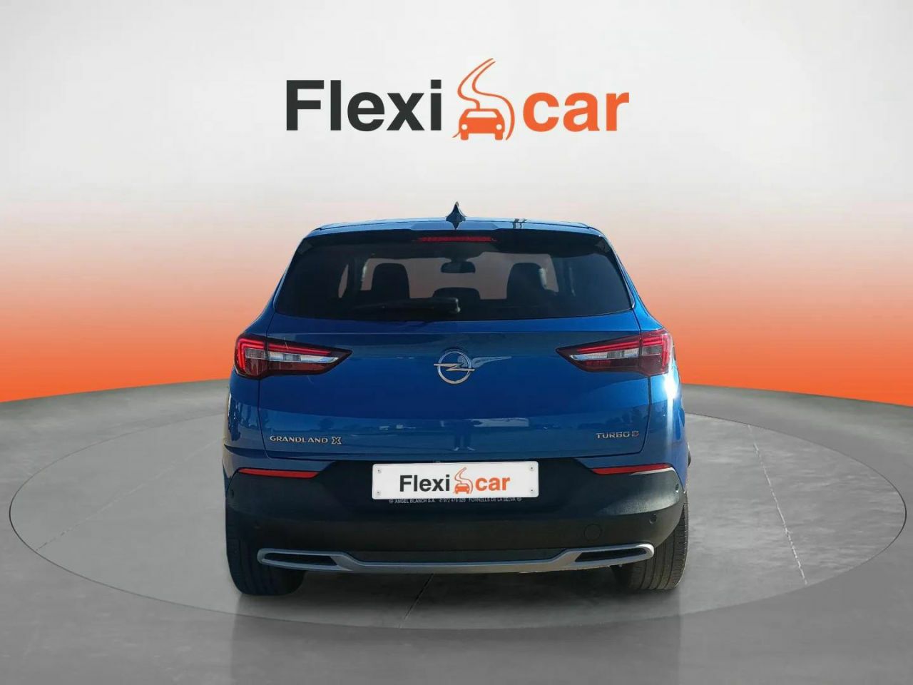 opel grandland x 2019 / foto grande (3)