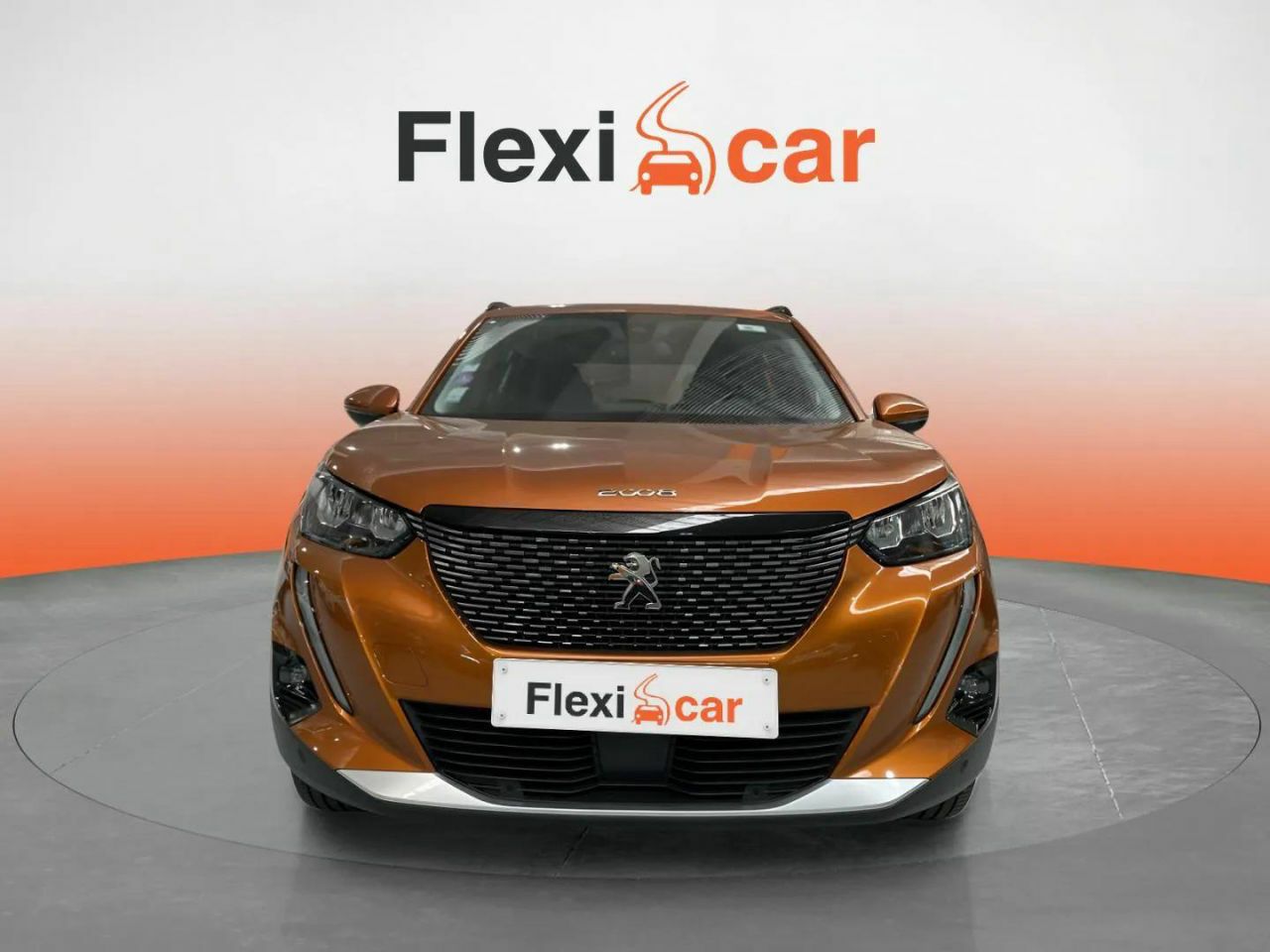 peugeot 2008 2020 / foto grande (2)