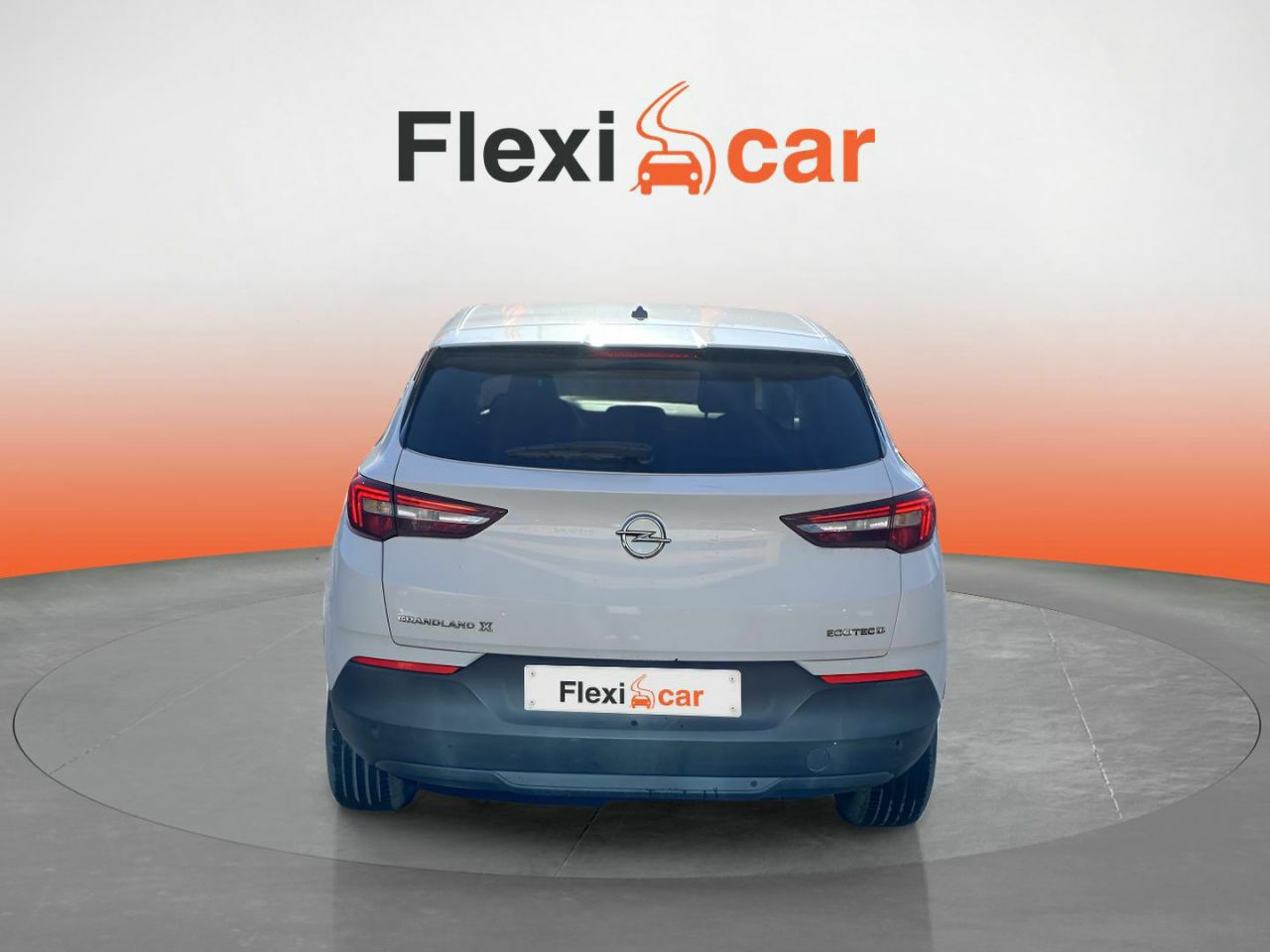 opel grandland x 2020 / foto grande (3)