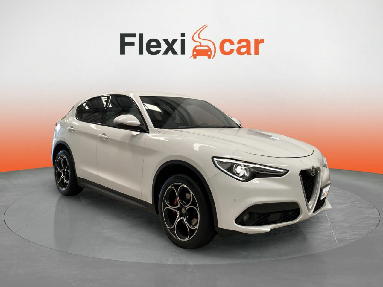 Oxicotina navarra  de segunda mano en Navarra - alfa romeo stelvio 2019 /