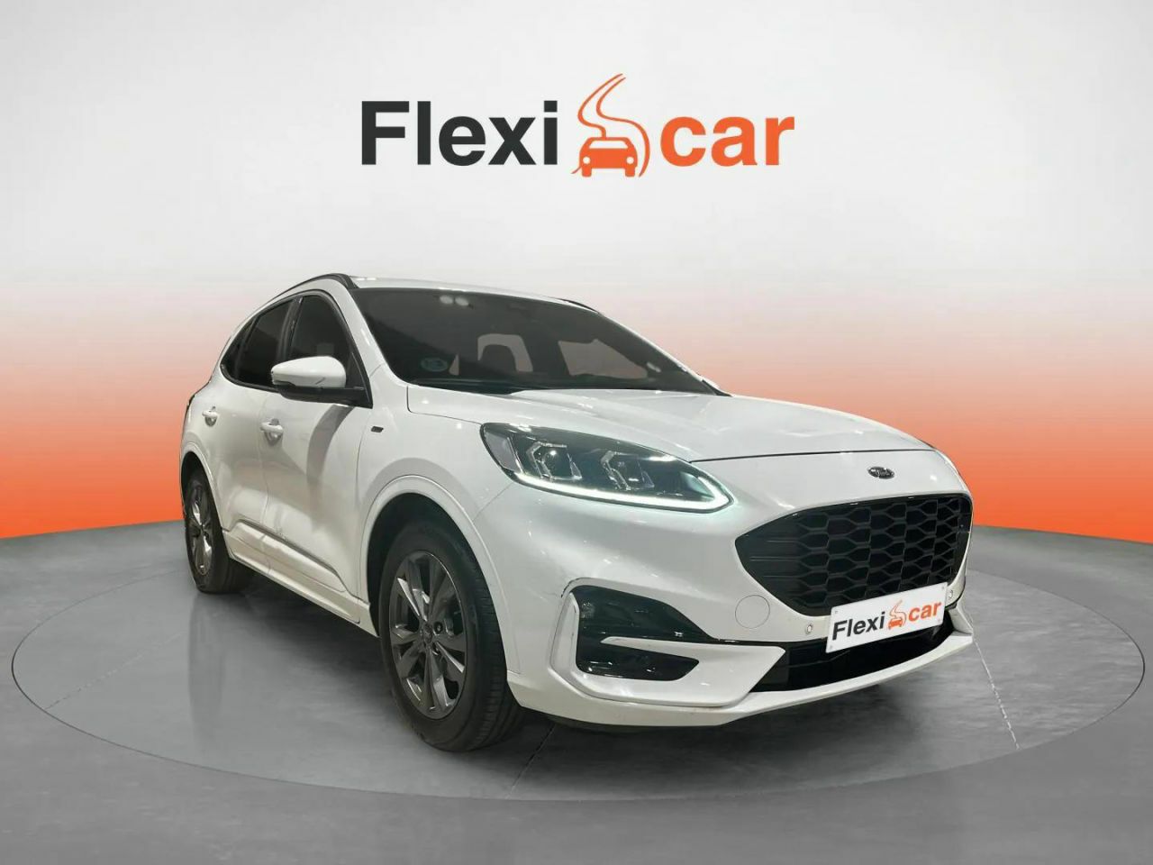 Oliva nova  de segunda mano - ford kuga 2022 /