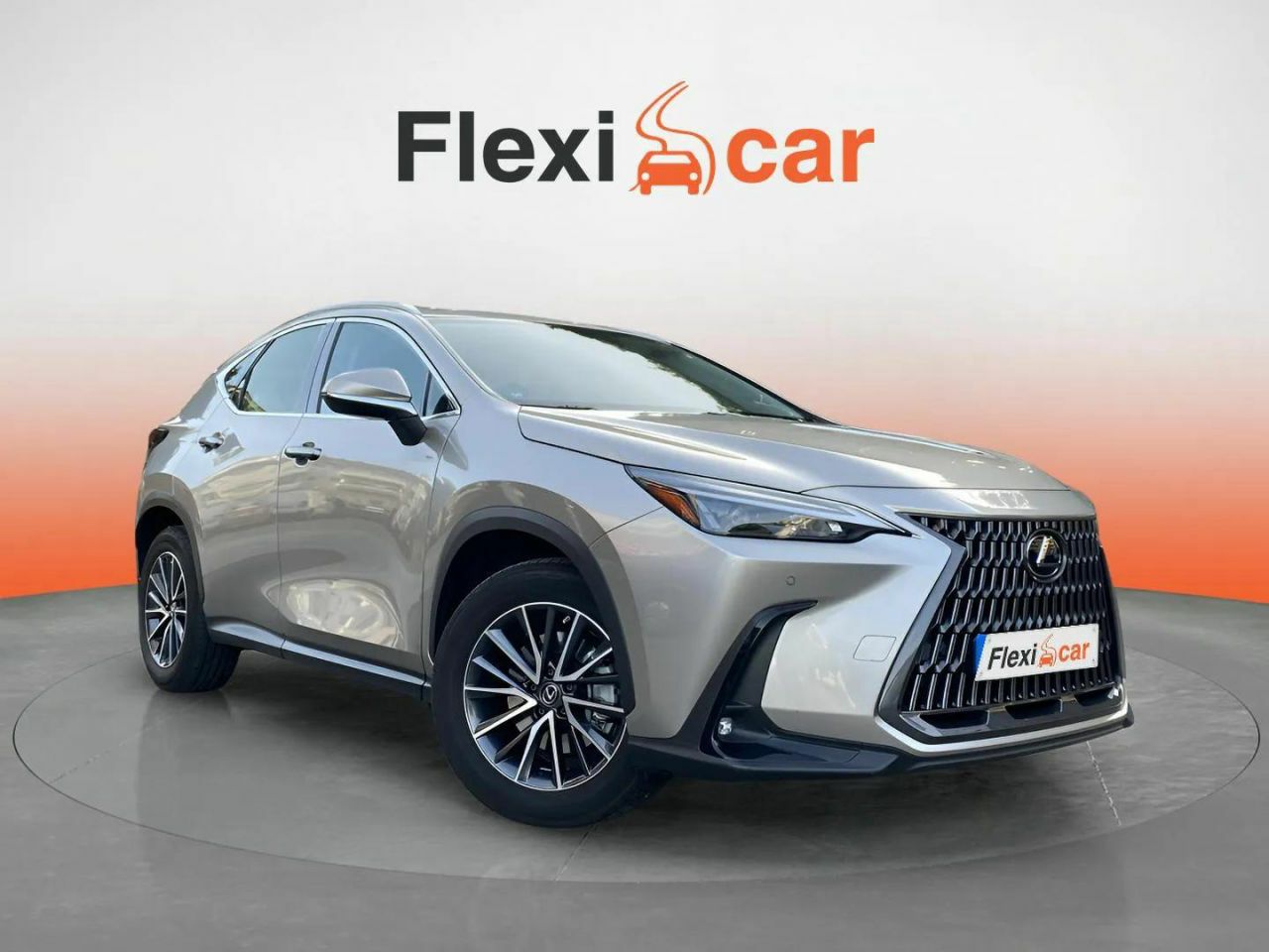 Foto lexus nx 2022 /