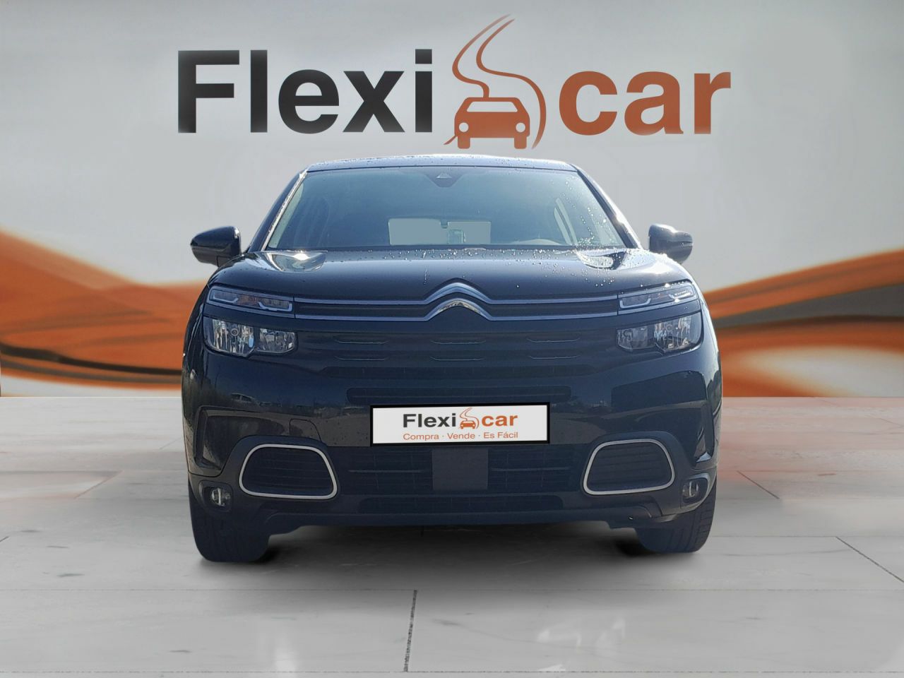 citroën c5 aircross 2019 / foto grande (3)
