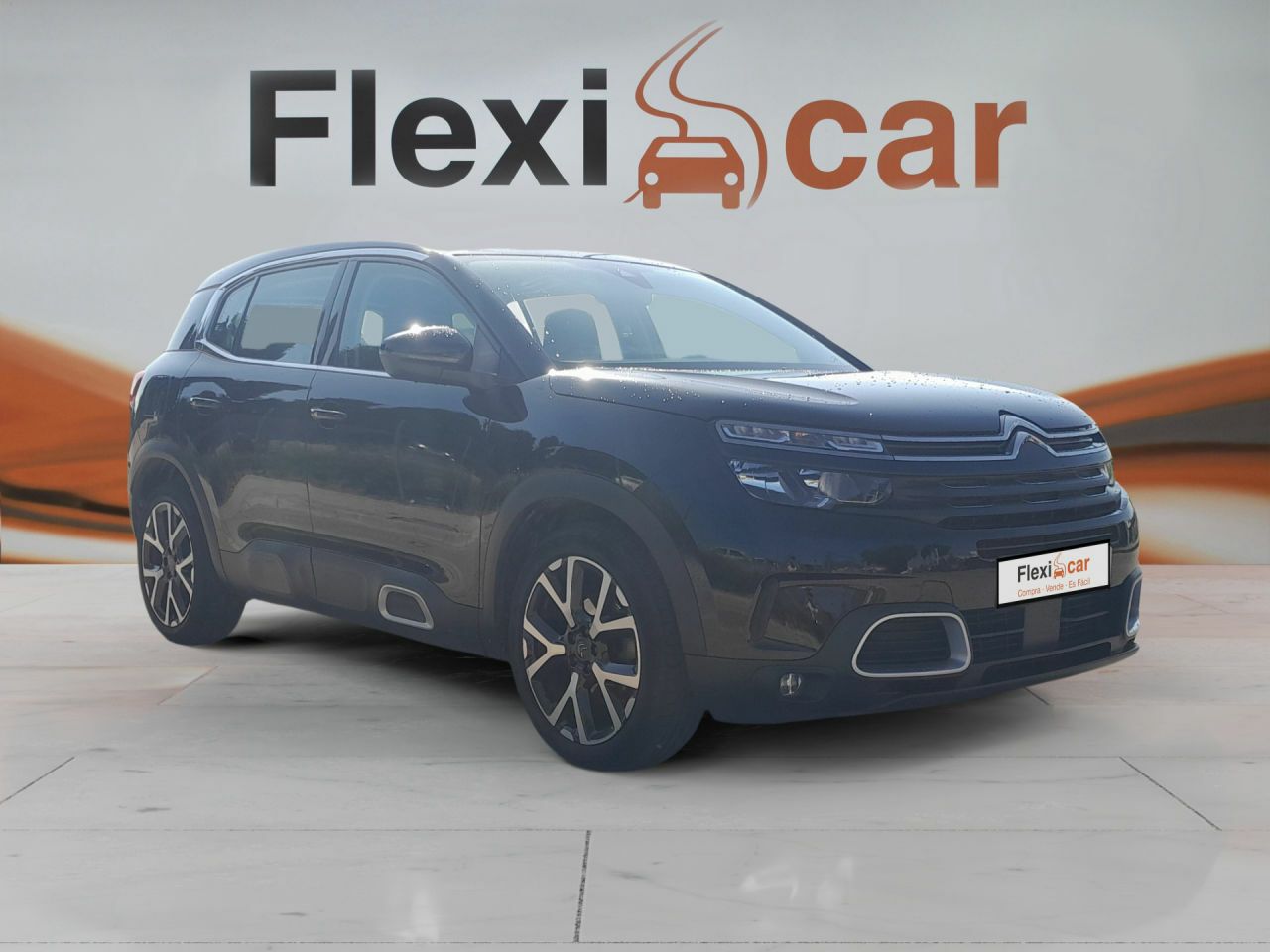 citroën c5 aircross 2019 / foto grande (2)