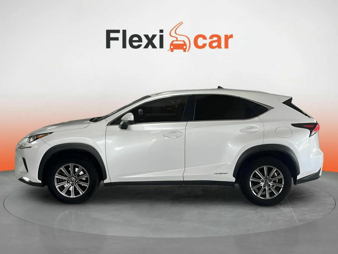 lexus nx 2019 / foto grande (3)