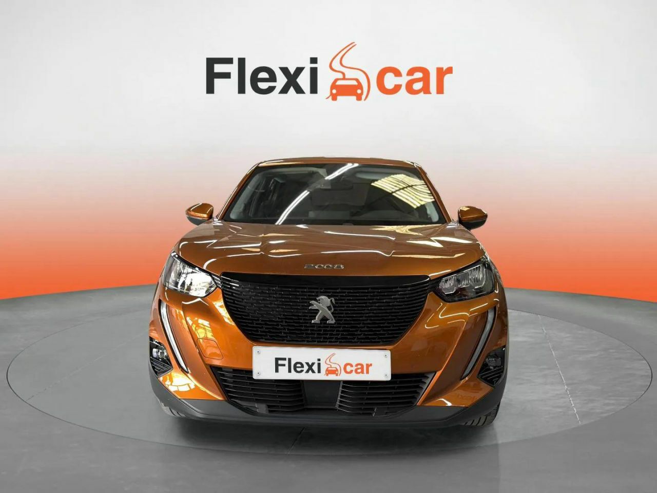 peugeot 2008 2020 / foto grande (2)