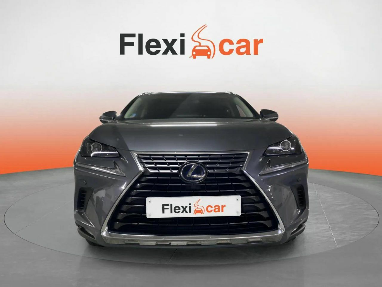 lexus nx 2019 / foto grande (2)