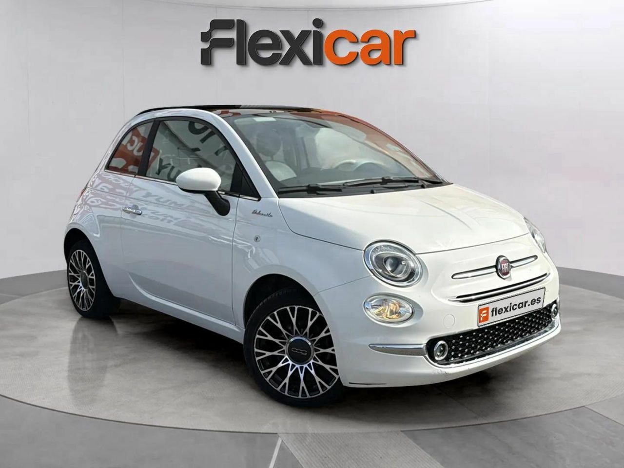 Mono titi de asturias  en Asturias - fiat 500 2022 /