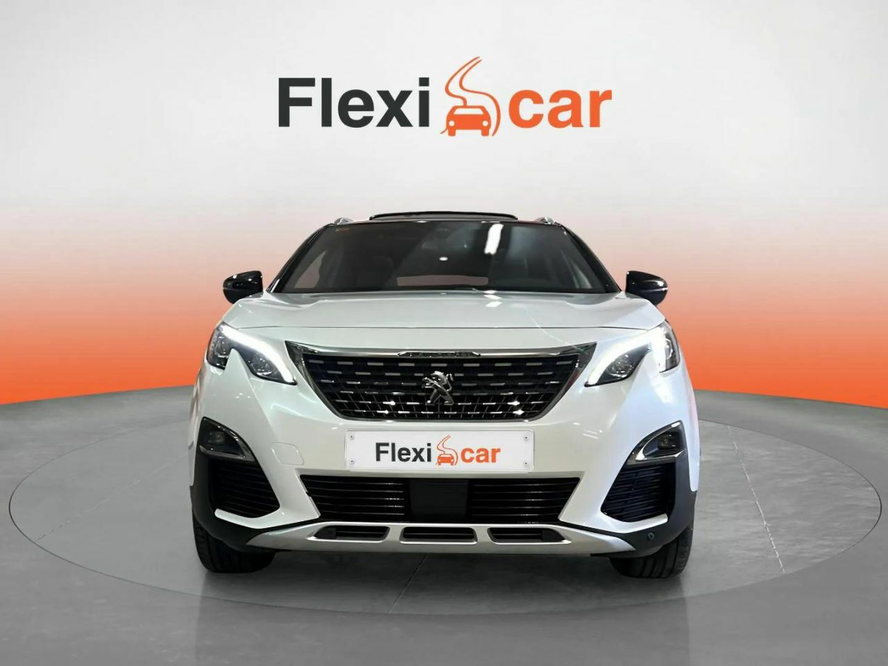 peugeot 3008 2017 / foto grande (2)