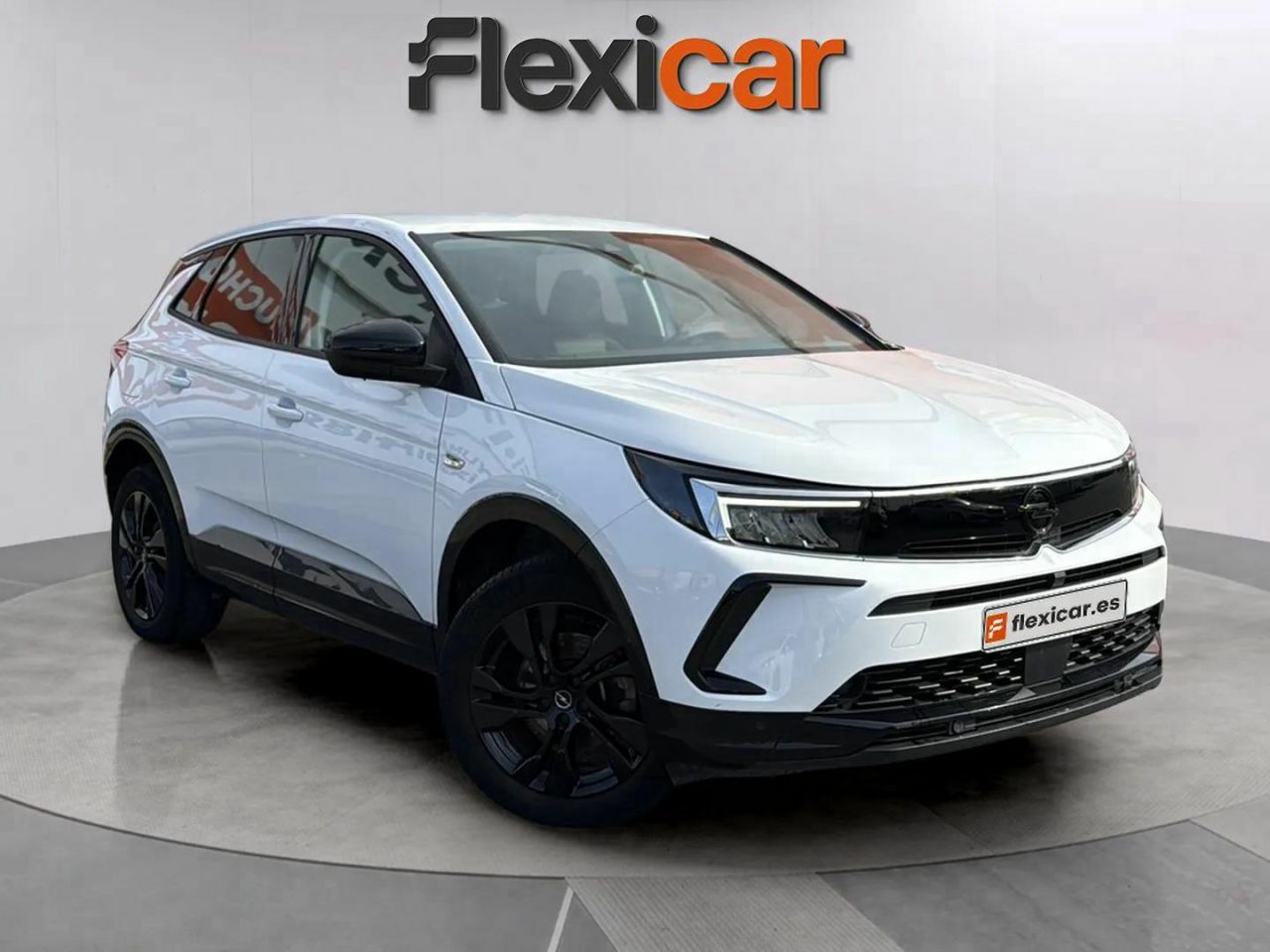 Mono titi de asturias  en Asturias - opel grandland 2023 /