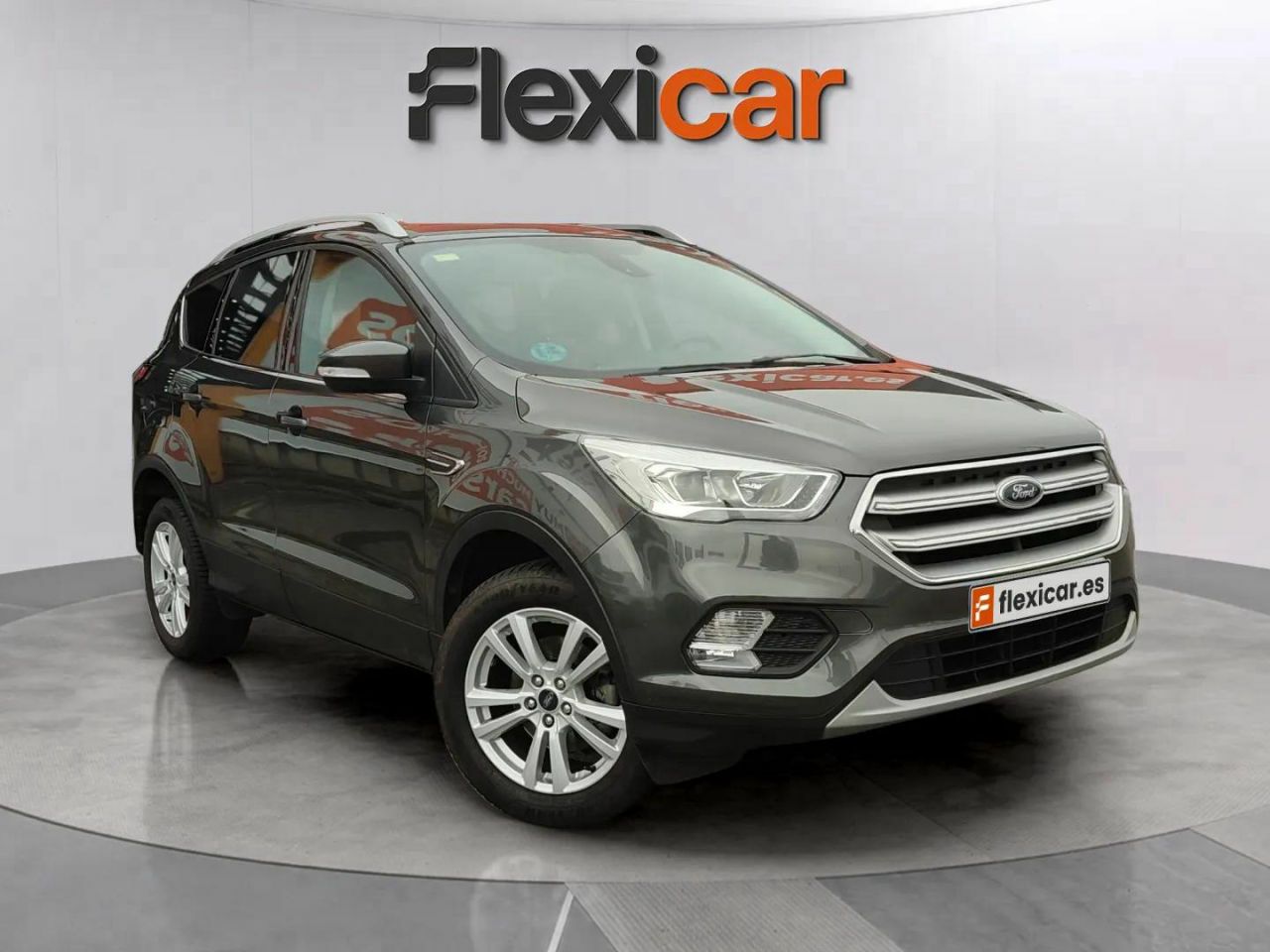 Mono titi de asturias  en Asturias - ford kuga 2018 /