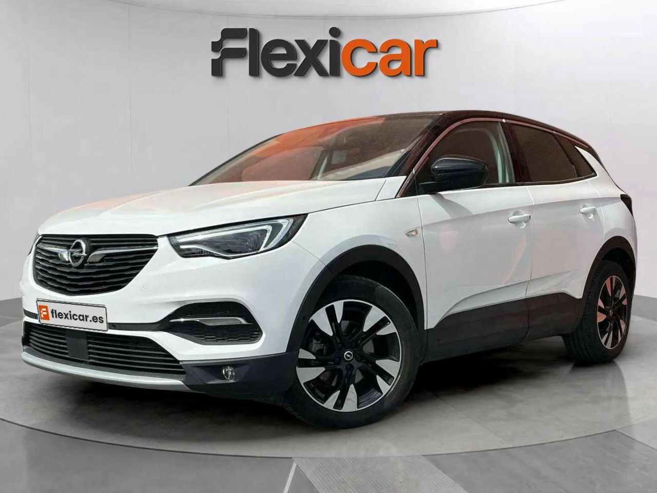 opel grandland x 2021 / foto grande (3)