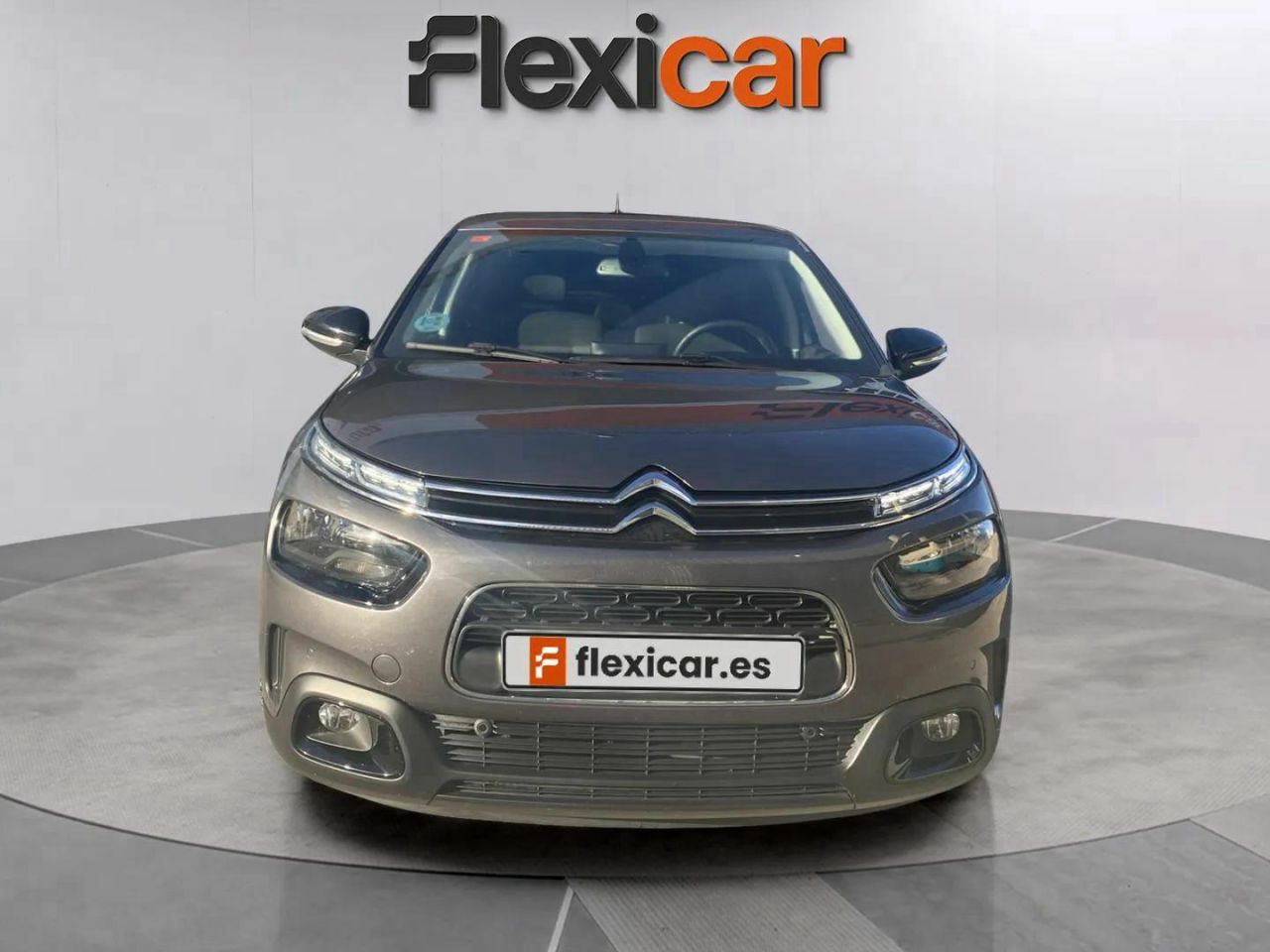 citroën c4 cactus 2019 / foto grande (2)