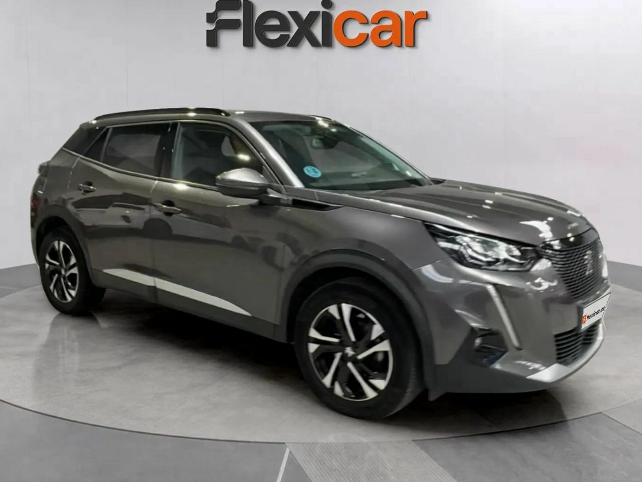Mono titi de asturias  en Asturias - peugeot 2008 2021 /