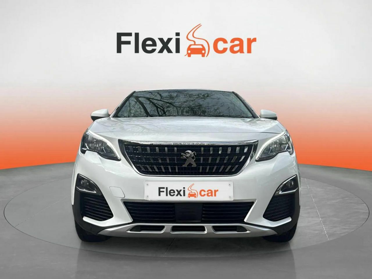 peugeot 3008 2017 / foto grande (2)