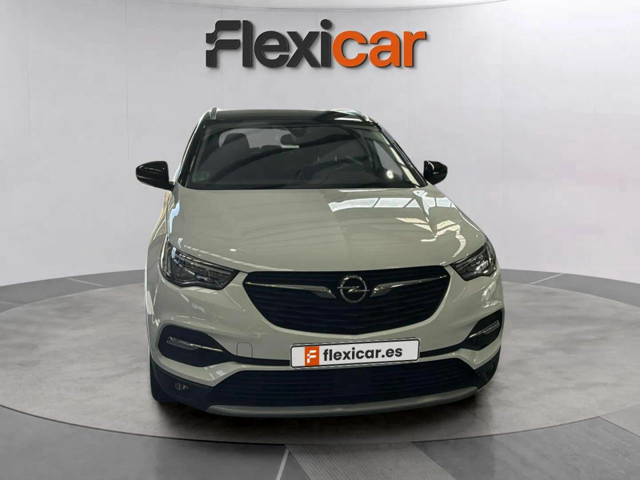opel grandland x 2019 / foto grande (2)