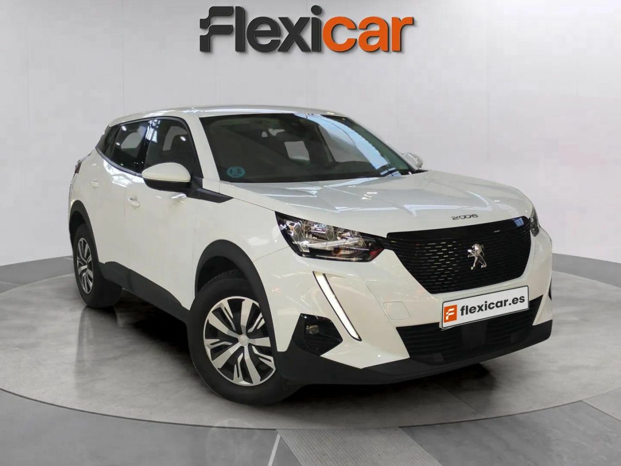 Mono titi de asturias  en Asturias - peugeot 2008 2021 /